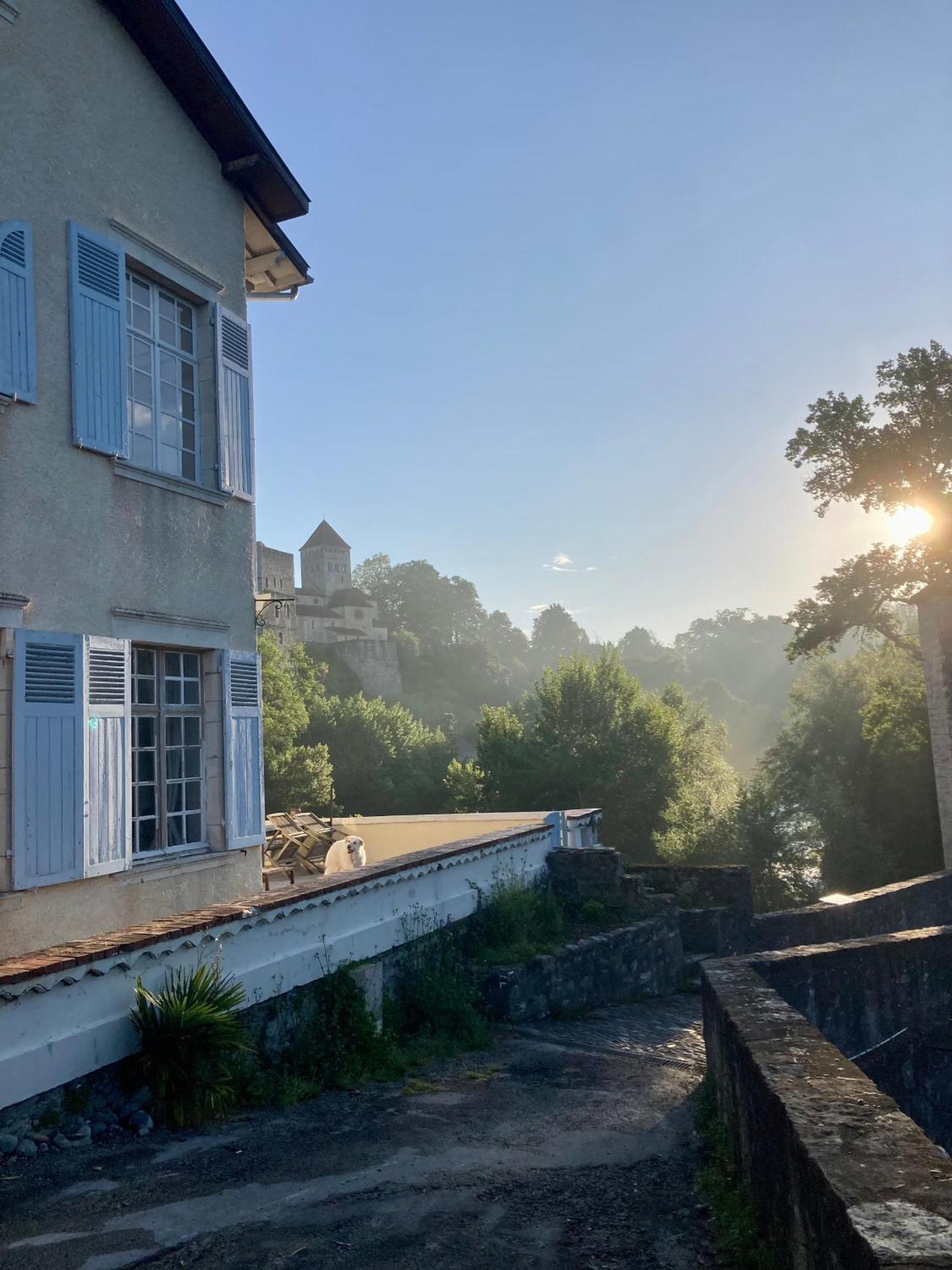 Maison Du Gave Sauveterre-de-Bearn Exteriör bild